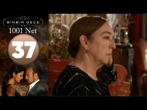 1001 Net - Episodi 37