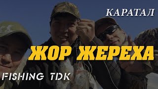 Как ловить жереха на реке или казахстан