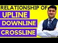 Upline Downline Relationship In Network Marketing Gaurav Mehra Mi Lifestyle