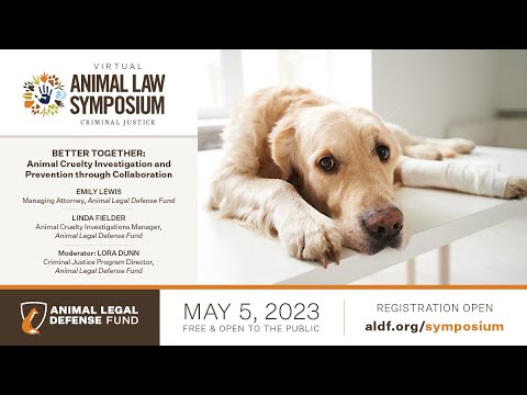 Better Together: Animal Cruelty Investigation and Prevention through Collaboration