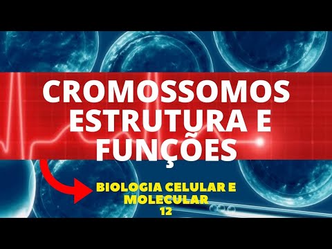 CHROMOSOMES - STRUCTURE AND FUNCTIONS - CELLULAR AND MOLECULAR BIOLOGY - CLASS 11