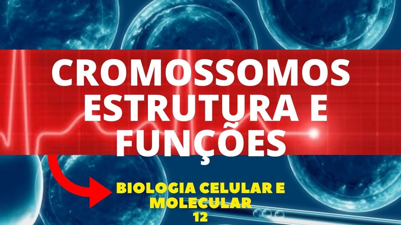 CROMOSSOMOS - ESTRUTURA E FUNÇÕES - BIOLOGIA CELULAR E MOLECULAR - AULA 11