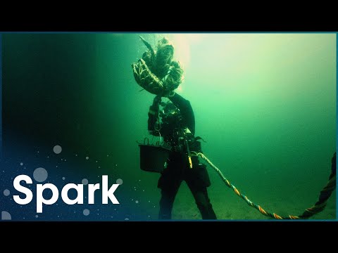 The Rigorous Exams Needed To Become A Professional Diver