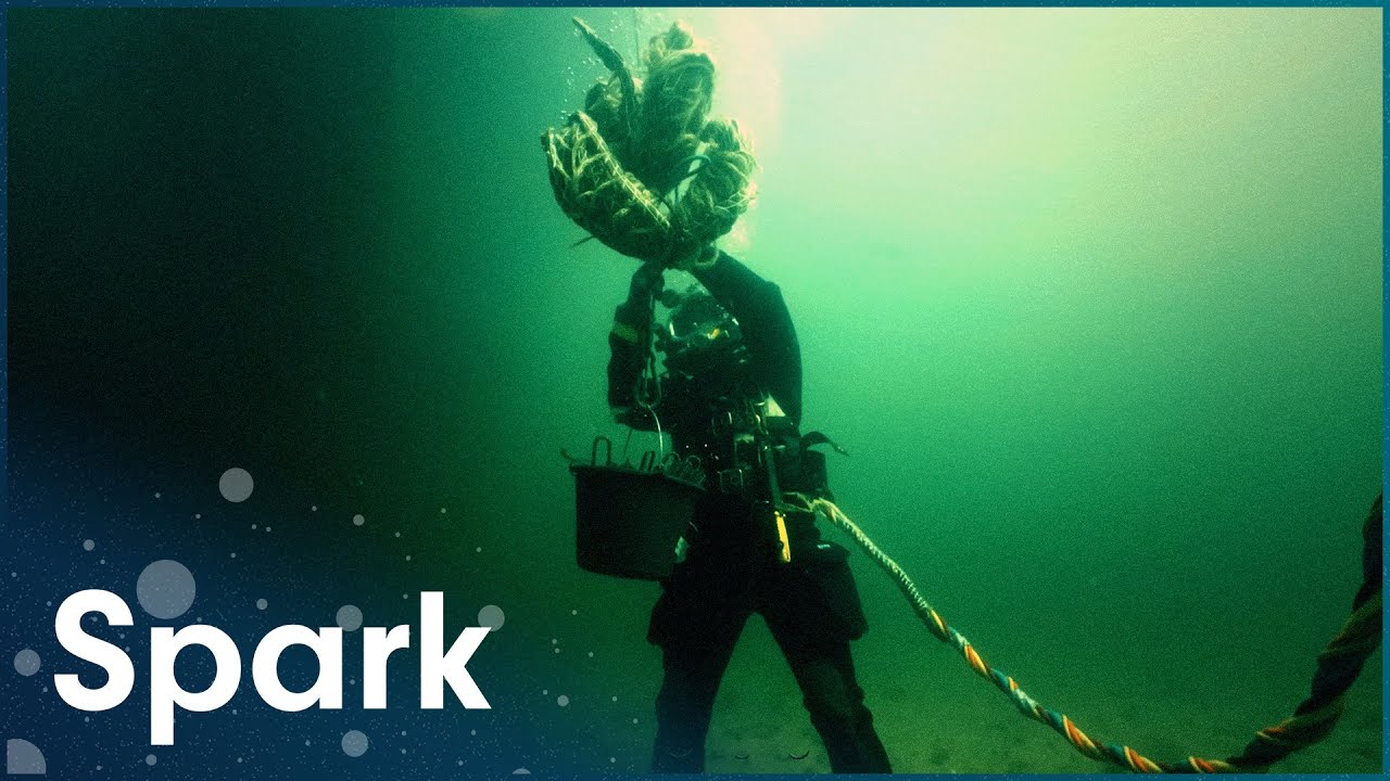 The Rigorous Exams Needed To Become A Professional Diver
