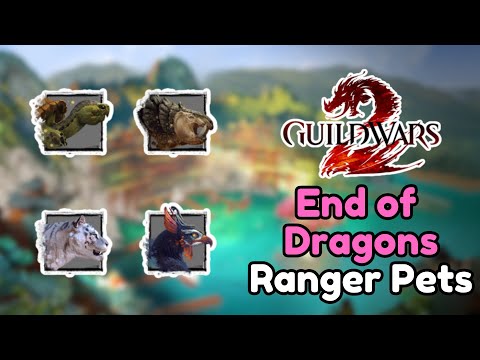 Guild Wars 2 - End of Dragons Ranger Pet Guide