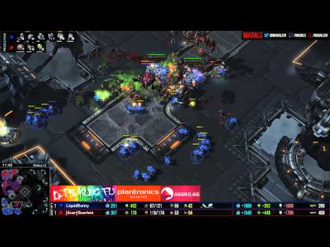 The Foreign Hope   Scarlett v Bunny ZvT G3