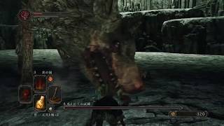 【PS4】【DARK SOULS Ⅱ】sl1 #20 ネズミの王の試練