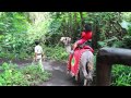 Bali Safari & Marine Park - Animals, Camel Ride ...