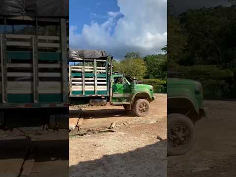 Embarcando en el planchon de Puerto Rico Meta #trucks #automobile #troquero #farming #offroad
