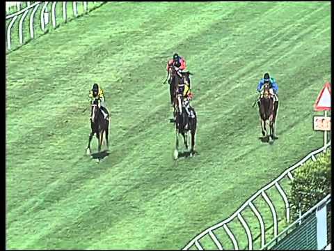 Galoppo 25/05/2015 - 1° corsa