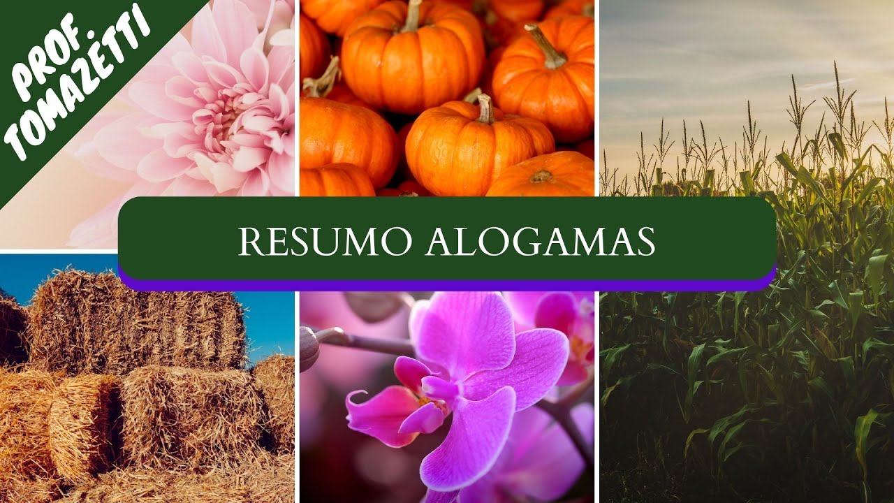 Resumo Alógamas | Melhoramento Genético de Plantas