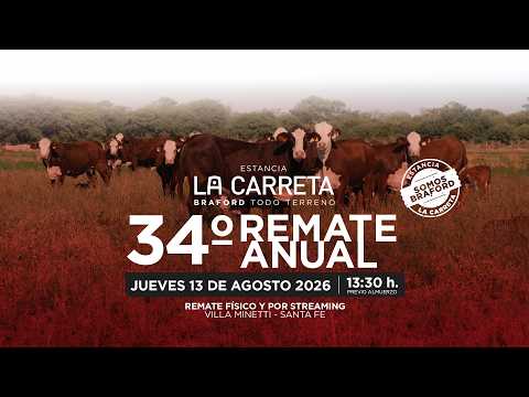🔴📡 EN VIVO  | 34° Remate Anual Estancia La Carreta