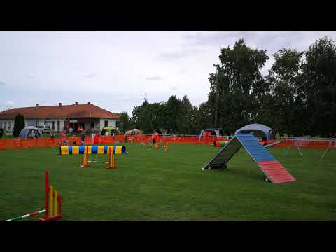 IX. Szigetköz Kupa - Lia 2. futam Agility A1