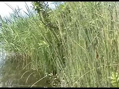 Prezentacja gospodarstwa Agroturystyka i Spływy Kajakiem NIDĄ