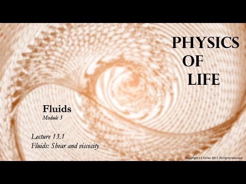 Lecture 3. Fluids, shear and viscosity