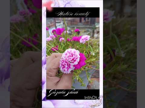 Karam Had Se Hai Jyada #shorts #shortsviral #naturalbeauty #gazalshah #youtubeshorts #viralreels