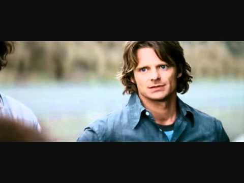 Strange Wilderness Seal Lions