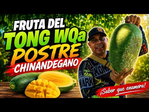 La EXTRAÑA fruta🥝 que pocos CONOCEN en NICARAGUA 