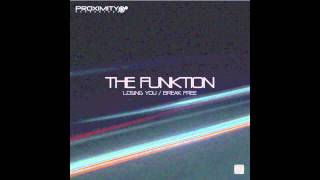 THE FUNKTION - LOSING YOU