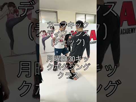 カーフキックディフェンス(チェック)