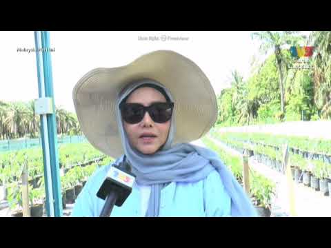 Ella Aminuddin using REDtone Smart Farming Solution