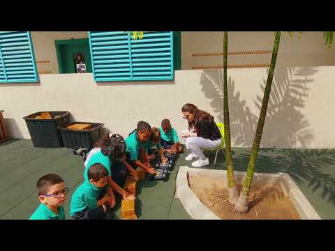 Year 2 STEM The Robots are Coming! You'd Better get Ready!