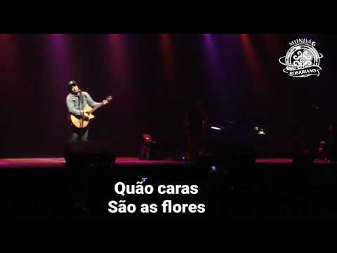 GUILHERME DE SÁ - FLORESTA DE BÉTULAS (LEGENDADO)