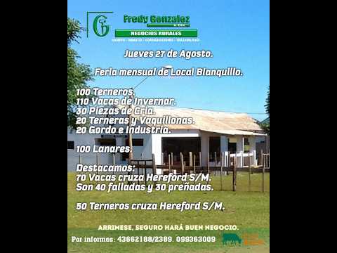 27/08/2026 Blanquillo - Durazno - Feria Mensual - Fredy González y Cía Ltda - Diego Prego