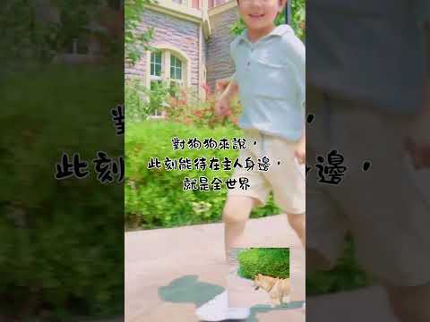 《狗狗想傳達的事》～其實，你已經擁有全世界💙