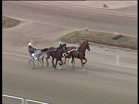 Trotto 18/01/2019 - 2ª prova di qualifica