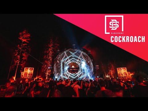 Cockroach @Darkshire In The Woods 2022 | DNB Drops Only