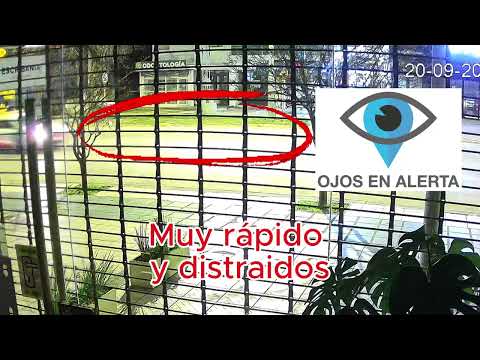 Nos rompieron la maceta del local en 1 segundo | Villa Cabrera, Córdoba (cámara de seguridad)