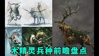 《全面战争：战锤2/3》木精兵种未来可能新兵种前瞻盘点（Wood Elves Future new Units for total war Warhammer 2/3 Prediction）