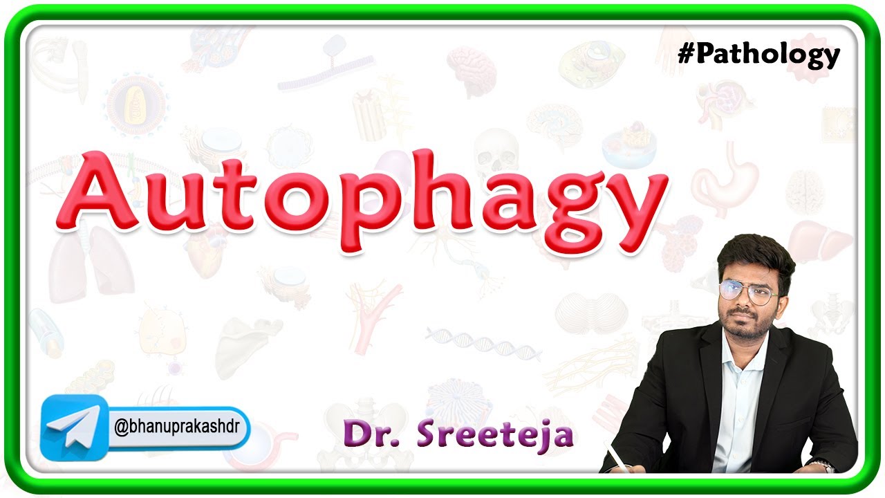 5. Autophagy : Cellular Recycling Pathway || USMLE Step 1