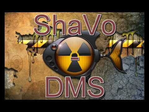 Shavo Salkin Star ft. DMS - Du Bist Anders