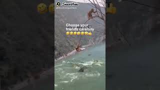 Download lagu Pembunuh berdarah dingin😁😁 mp3