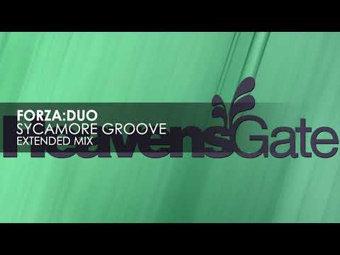 Forza:Duo - Sycamore Groove