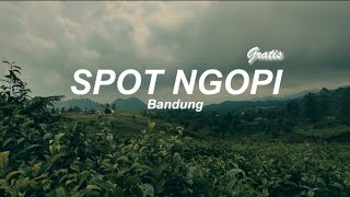 Download lagu Spot Ngopi di Kebon Teh Bandung Gratis | Sejuk Seperti di Eropa mp3 Download lagu Spot Ngopi di Kebon Teh Bandung Gratis | Sejuk Seperti di Eropa mp3