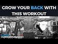 How to Build A Great Back!