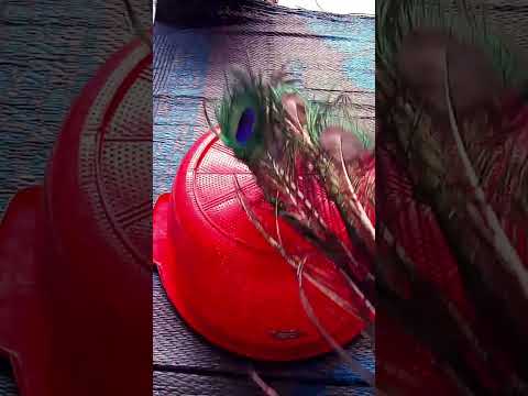 bhole Baba ke kripa se#biscuit chocolate mein badal gaya#Jay Bholenath