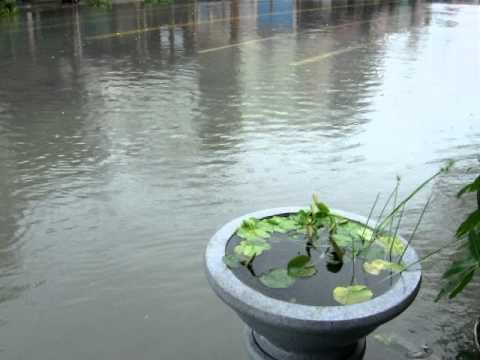 920 Donggang Jyunsui