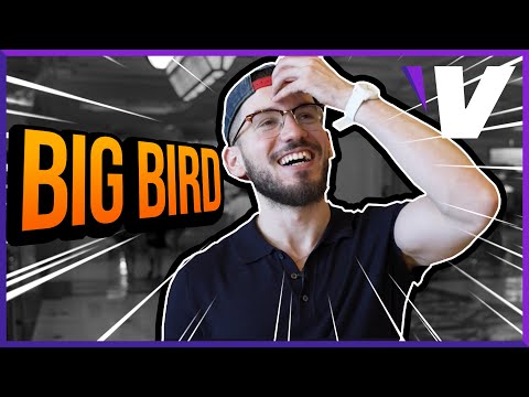 "Do you prefer DAIGO or TOKIDO?" Big Bird on Reversal VERSUS