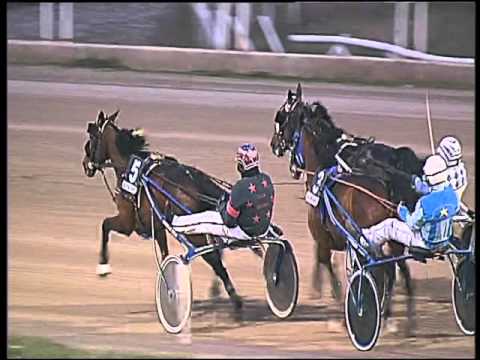 Trotto 19/01/2016 - 5° corsa