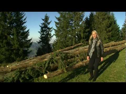 Jessica Ming - Ich bin stark (Offizieller Videoclip)