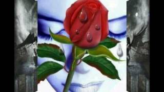 CAMINOS DIFERENTES   *_*   ROBERTO TAPIA