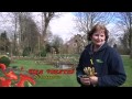 Binnen de Dijken van 22-04-2013