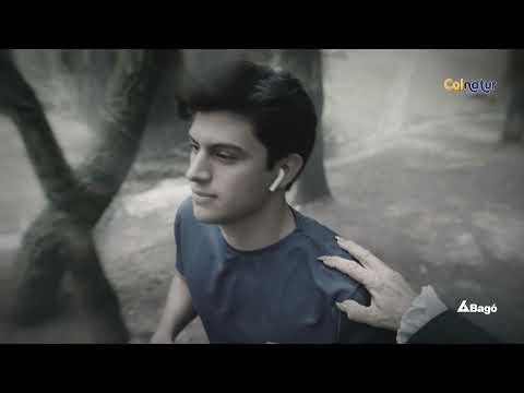 Colnatur - Capsula 2 Comercial Desktop