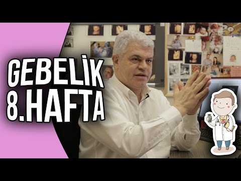 Doktor Evinde - Gebelik 8. Hafta
