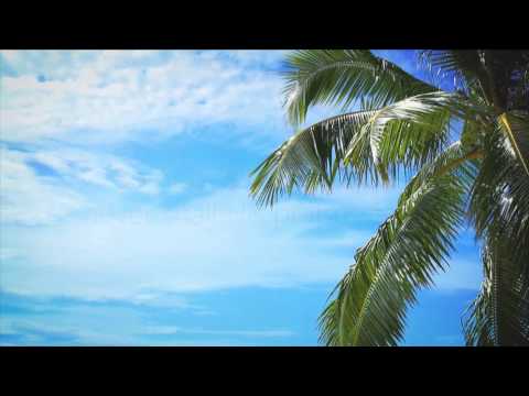 Give Thanks unto the Lord