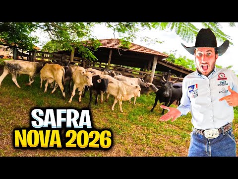 TODOS OS FILHOS DO PRAGA DE SOGRA, SAFRA NOVA 2026
